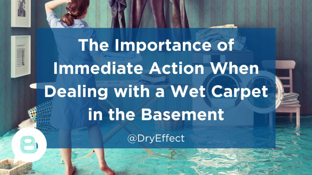 The Importance of Immediate Action When Dealing with a Wet Carpet in the Basement