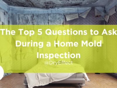 The Top 5 Questions to Ask During a Home Mold Inspection