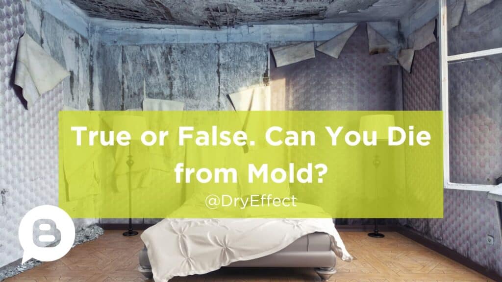 die from mold