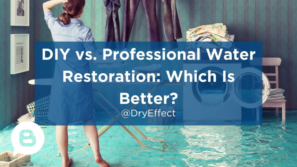 DIY vs. Professional Water Restoration