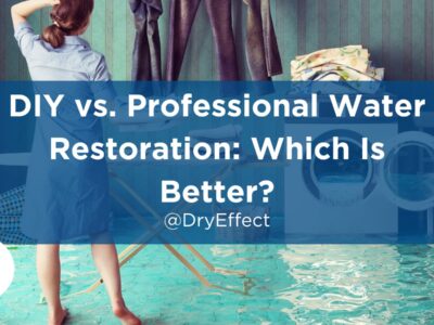 DIY vs. Professional Water Restoration