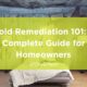 Home mold remediation guide
