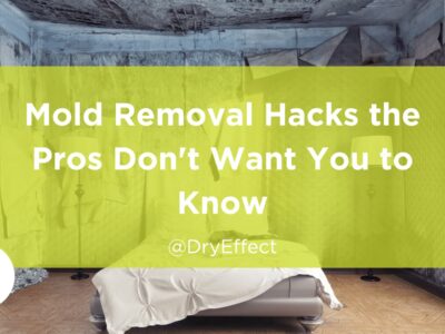 DIY mold removal tricks