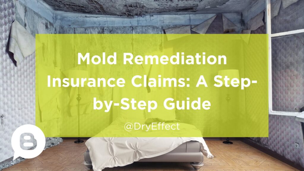 Mold Remediation Insurance Claims