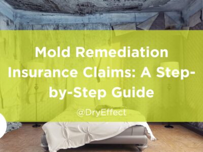 Mold Remediation Insurance Claims