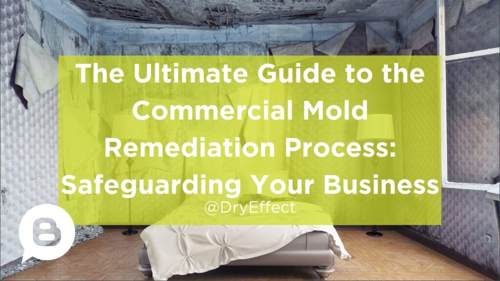 Commercial Mold Remediation Process