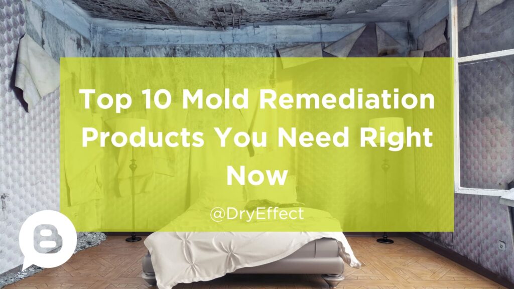 Best Mold Remediation Products