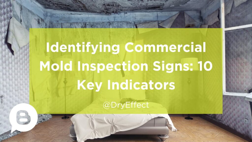 commercial mold inspection signs