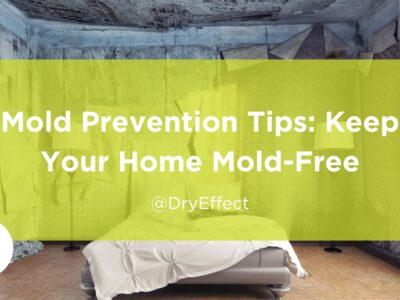 Preventing mold in your home