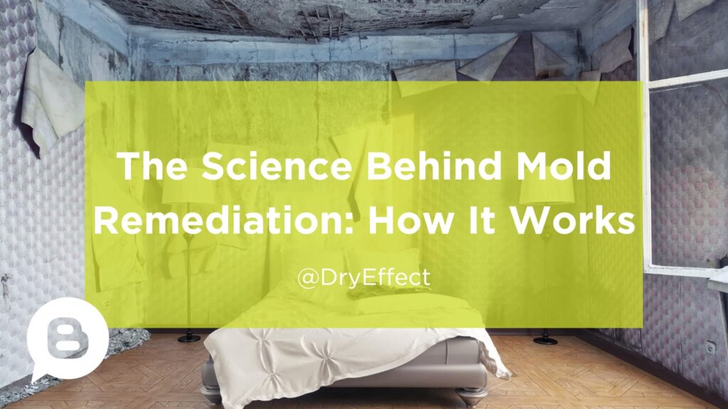science behind mold remediation