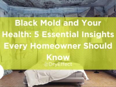 black mold and