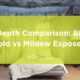 Black Mold vs Mildew