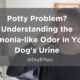 does dog urine smell like ammonia